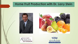 Home Fruit Production with Dr Larry Stein [upl. by Ingunna]