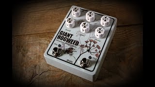 drolo  Giant Hogweed  Octave updown Fuzz [upl. by Elysee712]