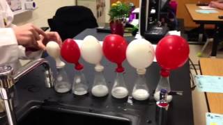 Acetic acid and baking soda for Limiting Reactants [upl. by Jackqueline]