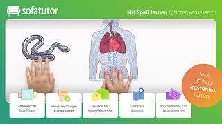 Zentrales und peripheres Nervensystem – Definition amp Funktion [upl. by Suvart]