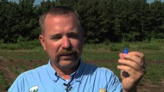 Weed Control Nozzle Selection 2015 [upl. by Fidellia]