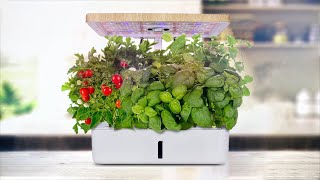 Moistenland Hydroponics Growing SystemIndoor Herb Garden Starter Kit wLED Grow Light [upl. by Atinoj]