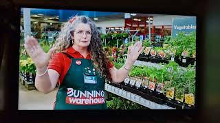 Bunnings Warehouse 2024 Ad [upl. by Denys]