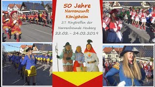 Narrentreffen Königsheim am 24 Februar 2019 [upl. by Ariamo787]