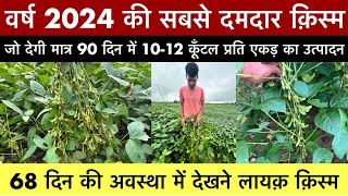 वर्ष 2024 में सोयाबीन की best variety जो देगी 1012 कूँटल का उत्पादन  soyabean best variety [upl. by Cinimmod]