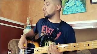 Teodoro Reyes Morire Bebiendo Bass Cover [upl. by Ahsielat198]