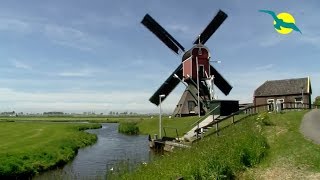 HOLLAND FLANDERN FLUSSKREUZFAHRT  Mit MS ALINA auf dem Rhein ins Land der Tulpen Käse amp Holzschuhe [upl. by Ettedualc980]