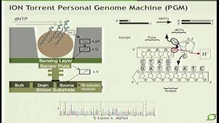 NextGeneration Sequencing Technologies  Elaine Mardis 2012 [upl. by Asselam738]