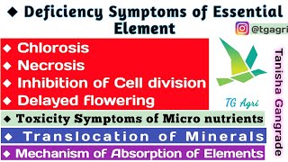 Deficiency symptoms of essential elements  deficiency symptoms in plants  Chlorosis and Necrosis [upl. by Perlman341]