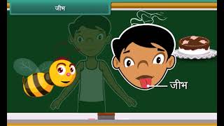 Internal Organs of Human Body  Environmental Studies For Kids in Hindi [upl. by Ardried164]