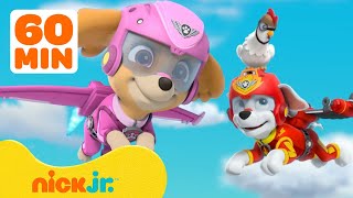 PAW Patrol Skyes Helicopter Rescues w Marshall Chase amp Marshall  1 Hour Compilation  Nick Jr [upl. by Bower382]