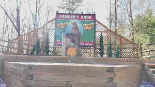 Gobblers Knob Punxsutawney PA [upl. by Duhl]