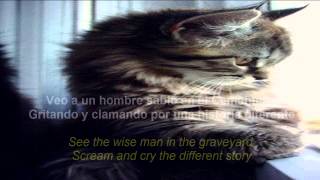 Peter Schilling  Different Story Subitulos Español amp English HD [upl. by Heddy]