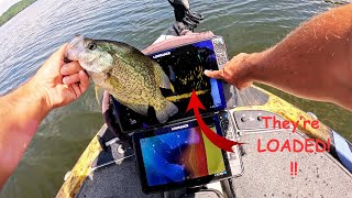 MAKE Finicky CRAPPIE Bite With This SIMPLE TRICK [upl. by Nahgem977]