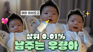 ENG 상위 01 우량아👶 태어난 지 45일 만에 67kg 💦 [upl. by Ahsei]