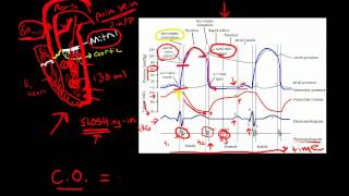 Cardiac Cycle [upl. by Ztirf]