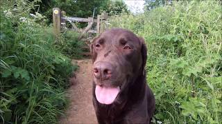 Cotswold Way 110 miles  The Start  Chipping Campden Cotswolds UK [upl. by Cronin]