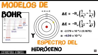 7Estructura Atómica 73 Modelo de Bohr y Espectro del Hidrógeno [upl. by Ityak]