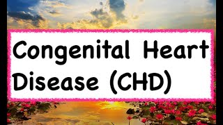 Congenital Heart Disease CHD  Hindi amp English [upl. by Litnahc]