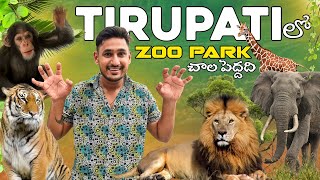 Tirupati Zoo Park ఇంత పెద్దదా 😱 Sri Venkateswara Zoological Park Tirupati [upl. by Rayford]