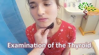 Examination of the Thyroid Gland  OSCE [upl. by Eycats]