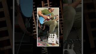 Meris Polymoon mini demo pedalsandeffects delaypedal gearybusey pedaldemo guitar psychedelic [upl. by Ensign509]