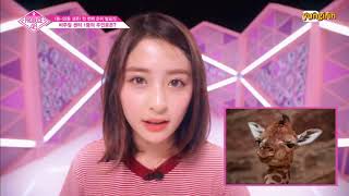 ENG Produce 48  Visual Center Is Mine Top 4 [upl. by Clarence761]