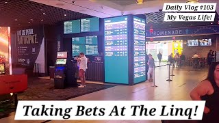 Taking Bets at The Linq In Las Vegas  My Vegas Life  Las Vegas Sports Betting amp Poker Vlog [upl. by Melanie415]