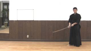 Practice Kendo At Home [upl. by Dranoel]