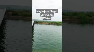 Nagarjuna Sagar Left Canal trending shorts dimaakcreations [upl. by Callan]