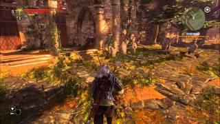 Lets Play The Witcher 2  Part 7 Opening the Gates [upl. by Acinahs169]