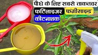 पौधे के लिए सबसे ताकतवर फर्टिलाइजर फंगीसाइड कीटनाशक बनाएं  Organic fertilizer Fungicide Pesticide [upl. by Scotty678]