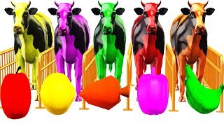 Learn Colours With Farm Animal Cow amp Fruits Colors For Children  Colors For Kids to Learning Videos [upl. by Genni]