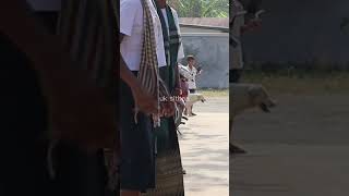 4a Khmer traditionalសាលាដើមអង្គោលfghjkshortvideo [upl. by Bruis693]