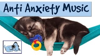 Relaxing Music for your Dog  Reduce Anxiety amp Stress During Fireworks [upl. by Lorianna]