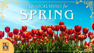 Classical Music for Spring [upl. by Hoffarth329]