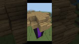 Sword Nether Portal minecraft [upl. by Noiwtna537]