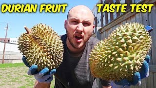 Durian Fruit Taste Test [upl. by Artapoelc]