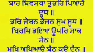 Sukhmani Sahib Full Path Read Along [upl. by Grata]