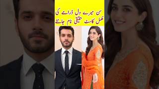 Sunn Mere Dil Fpisode 2 3  Sunn Mere Dil Drama Cast  Wahaj Ali  Maya Ali  sunnmeredildrama [upl. by Reinertson743]