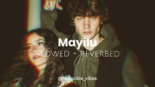 Mayilu  Vidusan Kaneswaran amp Supaveen  Slowed  Reverbed  Tamil vibes☁ [upl. by Annoeik]