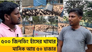 ৫০০ জিনডিং হাঁসের খামার করে মাসিক আয় ৫০ হাজার টাকা  জিনডিং হাঁস  Duck farming in Bangladesh [upl. by Nertie]