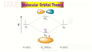 Molecular Orbital theory HomoNuclear diatomic Mol Orbital Mixing Bond Order Paramagnetic Diamagnetic [upl. by Odnaloy]