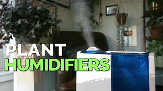 How to Use a Humidifier for Your Houseplants 💦🌱 [upl. by Yasibit665]