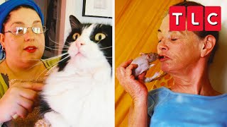 EXTREME Animal Addictions  My Strange Addiction  TLC [upl. by Aissatan583]