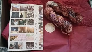 Day 1  Handdyed Yarn Advent Series 2023 Advent Shorts [upl. by Guthrey]