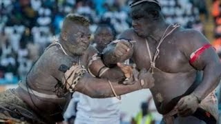 Senegalese Wrestling knockout Gris Bordeaux Malick Niang les Lutteurs Boxeurs Champions des KO [upl. by Ahsataj296]