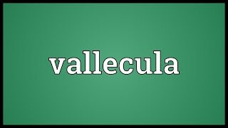 Vallecula Meaning [upl. by Andreas]