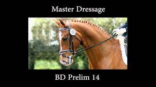 Master Dressage talks Prelim 14 dressage training [upl. by Assilac]