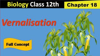 Vernalisation in plants  Fsc 2nd year biology  Kins academy [upl. by Rebah]